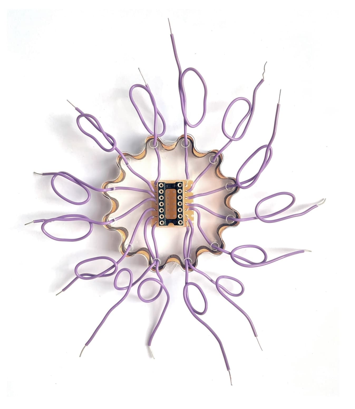 Day of Open Living Labs