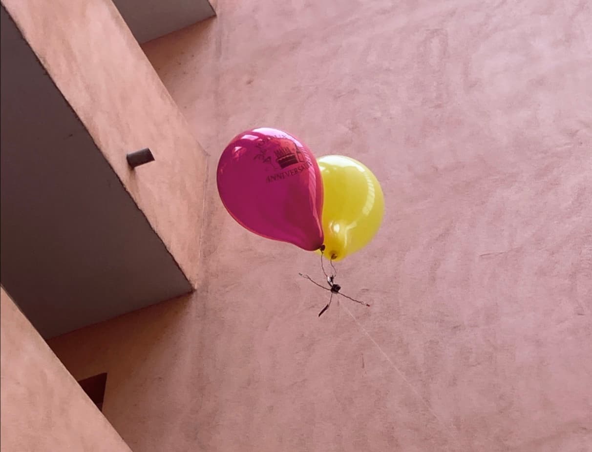 E.A.G.E.L. (NOT a drone)