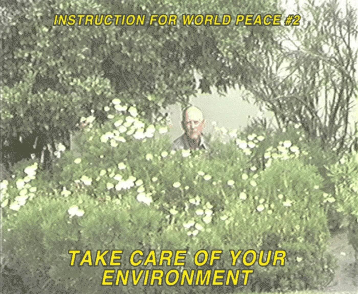 Living the Forest Lab in Corsica